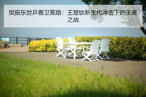 fan-zhen-dong-shi-ping-sai-wei-mian-lu-wang-chu-qin-xin-sheng-dai-chong-ji-xia-de-wang-zhe-zhi-zhan-2-570.jpg