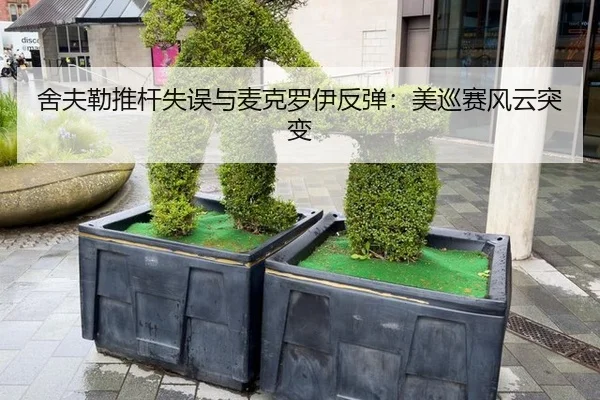 舍夫勒推杆失误与麦克罗伊反弹：美巡赛风云突变