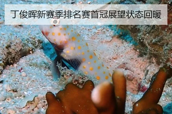 丁俊晖新赛季排名赛首冠展望状态回暖