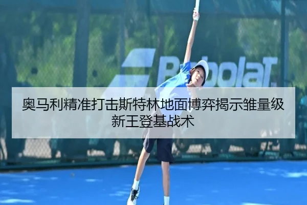 ao-ma-li-jing-zhun-da-ji-si-te-lin-di-mian-bo-yi-jie-shi-chu-liang-ji-xin-wang-deng-ji-zhan-shu-3-443.jpg